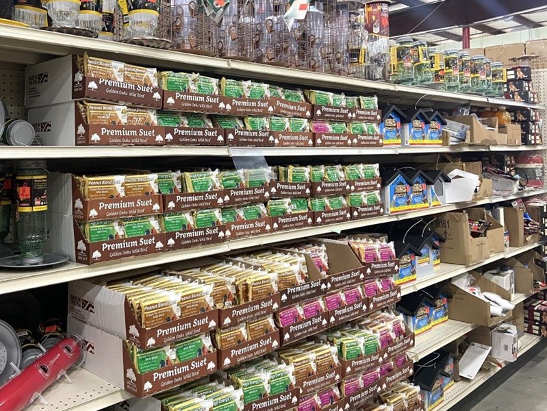 pet suet 925x694
